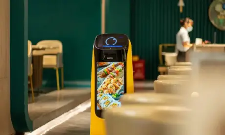 63a04eb2aa72295488112011_Ketty4