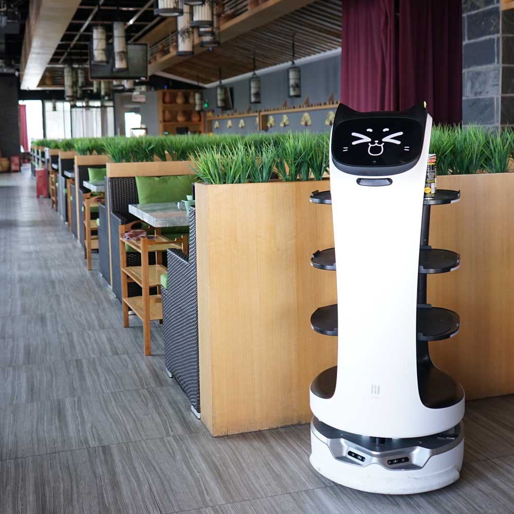 roboterly_bellabot_restaurant